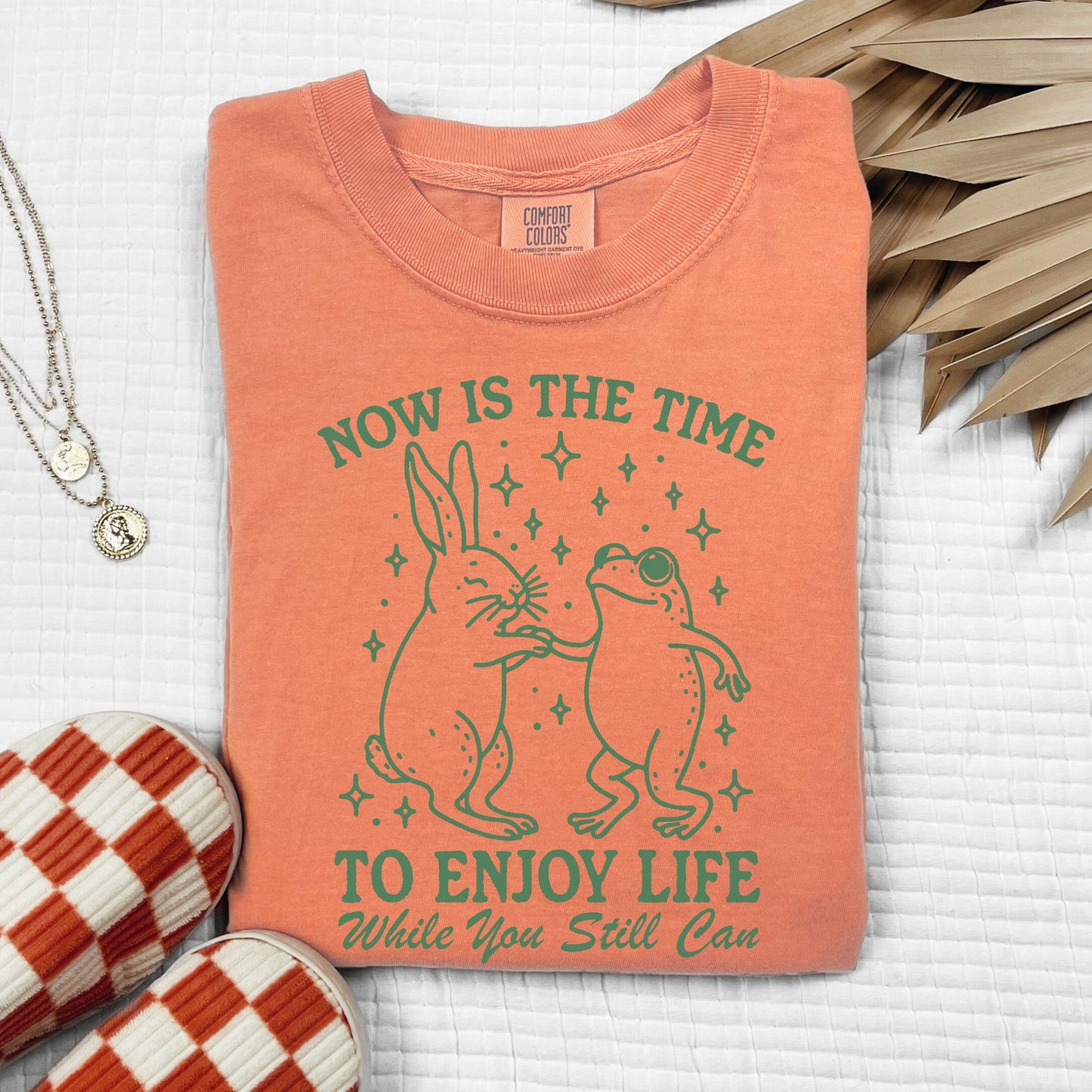 Funny Sarcastic Rabbit and Frog- Enjoy Life While You Can Comfort Colors Shirt